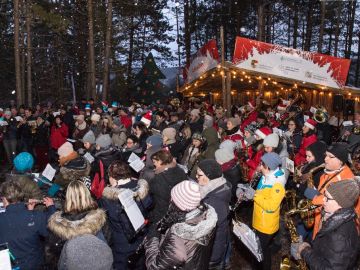 panorama3.blasorchester new